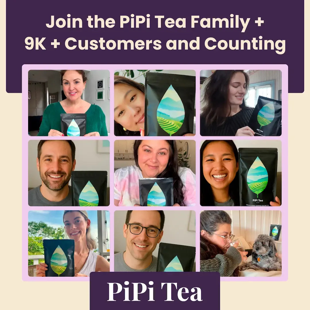 PiPi Tea – Supports Insulin Sensitivity To Help Lower Blood Sugar Levels Naturally